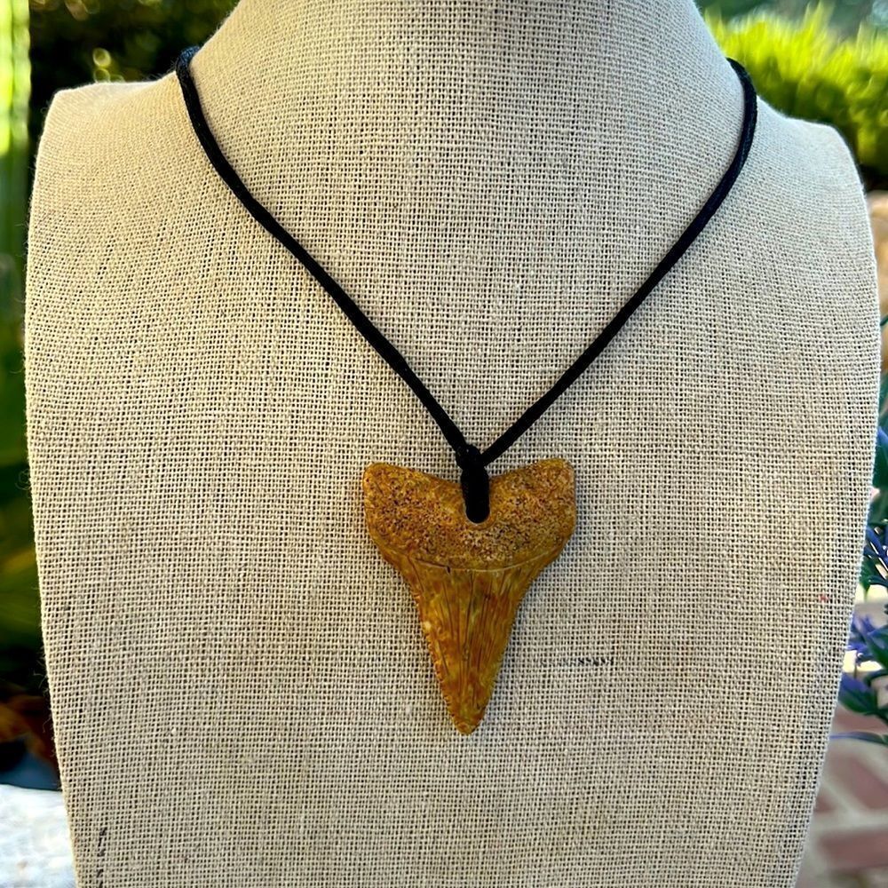 Shark’s Tooth Necklace - Picture 9 of 9